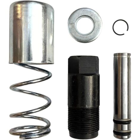 Double Pompe Horizontale à Piston, pièces de Rechange polyvalentes, Pompe à à vérin Horizontal hydraulique Robuste pour Jeu de Joints de Voiture, Un