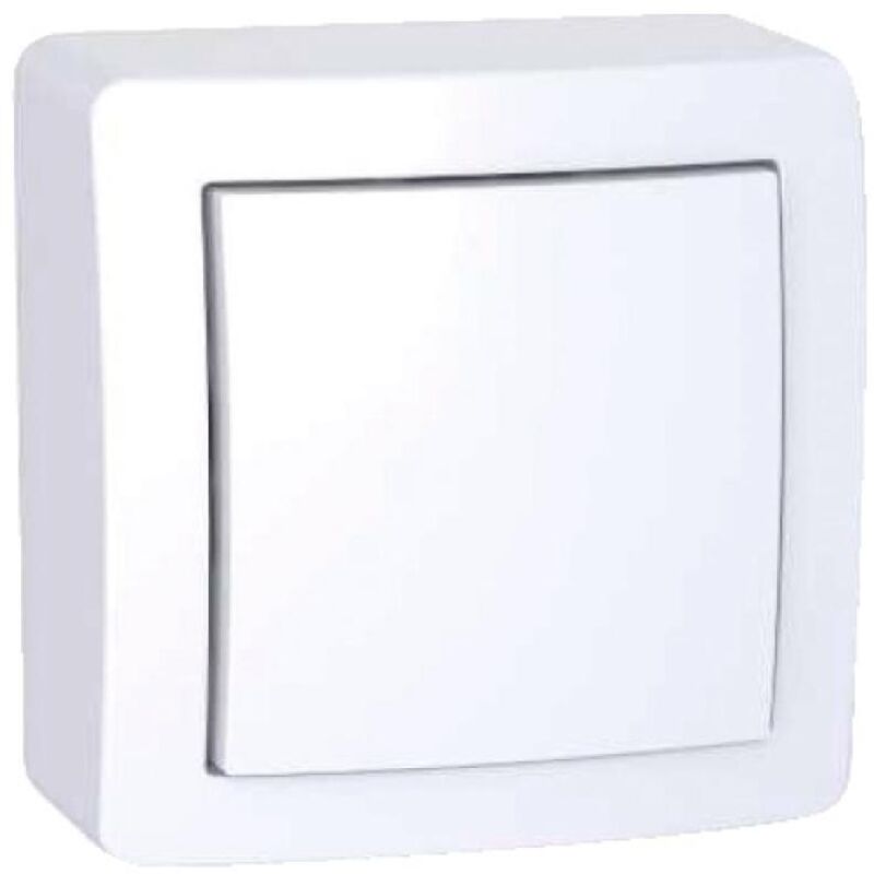 Schneider Electric - Alréa, Double va-et-vient avec cadre saillie, blanc polaire (ALB62056P)