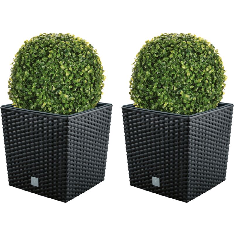 Lot de 2 Pots de Fleurs Rato 32 l avec Support pour Plantation Anthracite 32 x 32 x 32,5 cm + Boule de buis - Wellhome