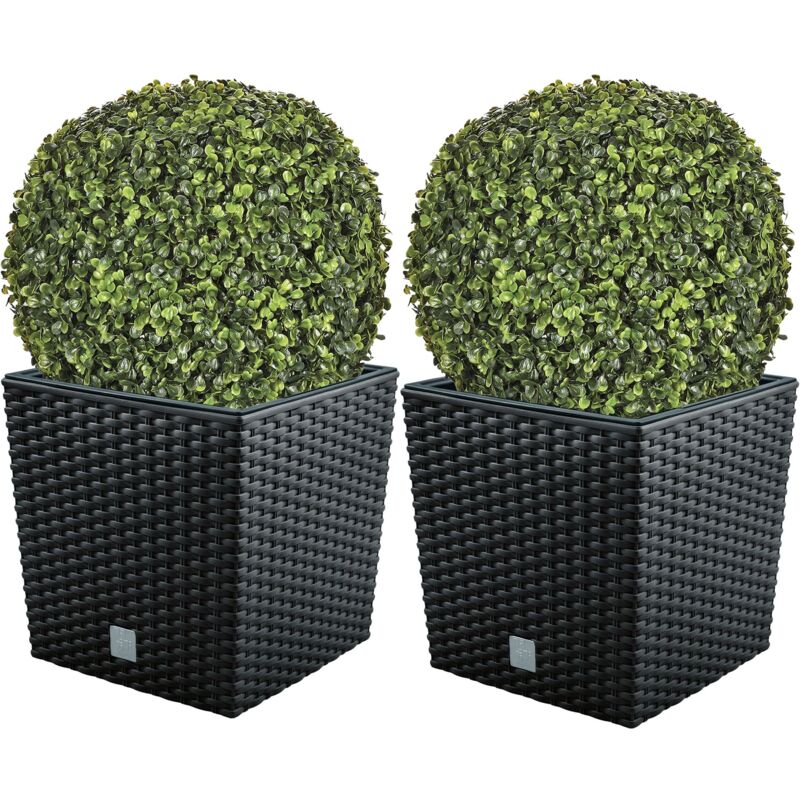 Lot de 2 Pots de Fleurs Rato 32 l avec Support pour Plantation, Anthracite 32 x 32 x 32,5 cm + Boule de buis - Wellhome