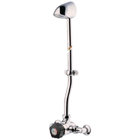 douche temporisee avec mitigeur alpa 35813