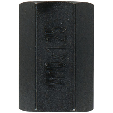 Douille de montage M10 x 1,25