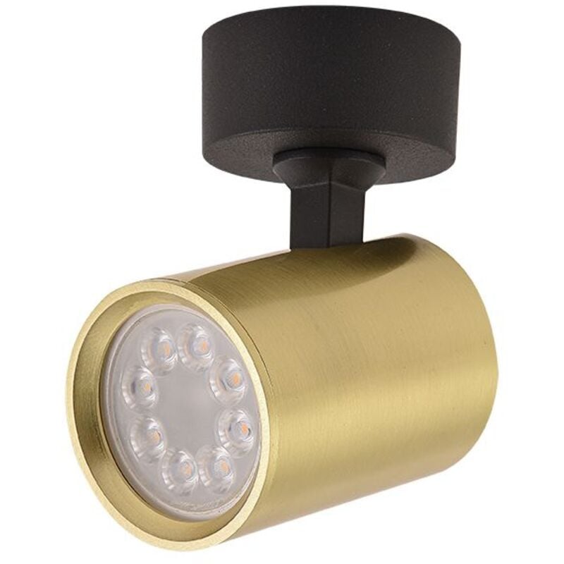 Larissa Lighting - Plafonnier D60 Pour Ampoule led GU10 Laiton brossé zambelis