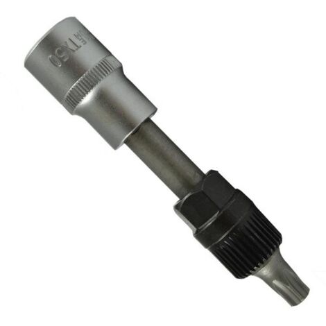 Douille pointe torx t50 110mm pour 51259