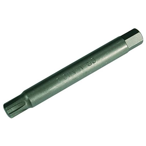 Douilles à embouts Longueur 100 mm 10 mm (3/8") profil cannelé (pour RIBE) M10,3