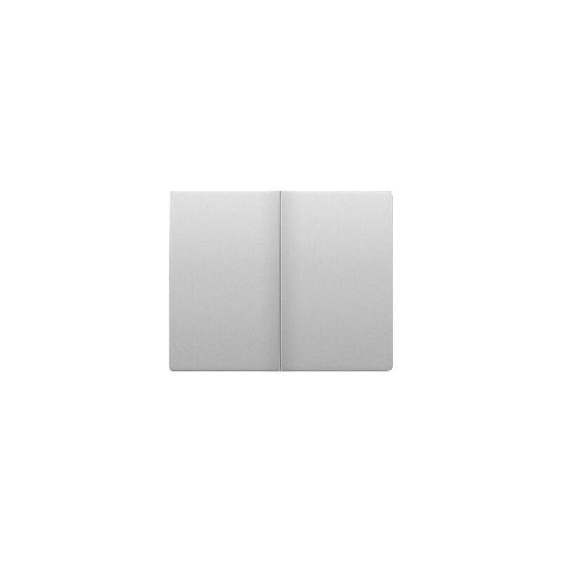 

Tecla doble/Int. Cdor Aluminio mercurio BJC 18709-MA IRIS