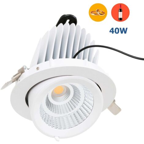 Downlight LED orientabile incassato - Chip speciale per negozi -