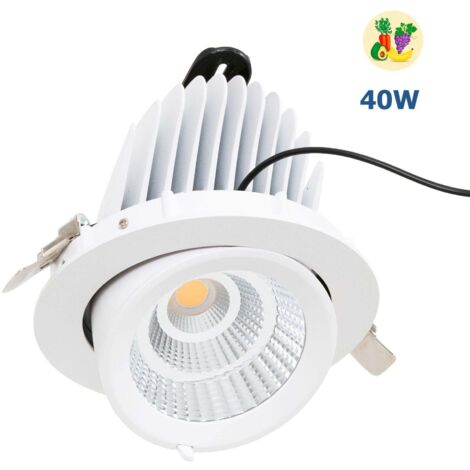 Downlight LED orientabile incassato - Chip speciale per negozi