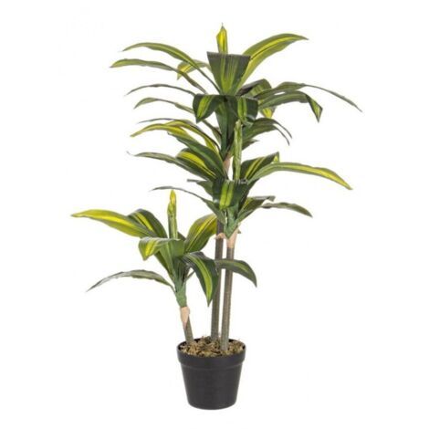 Dracaena mit 43 Blättern, 88 cm