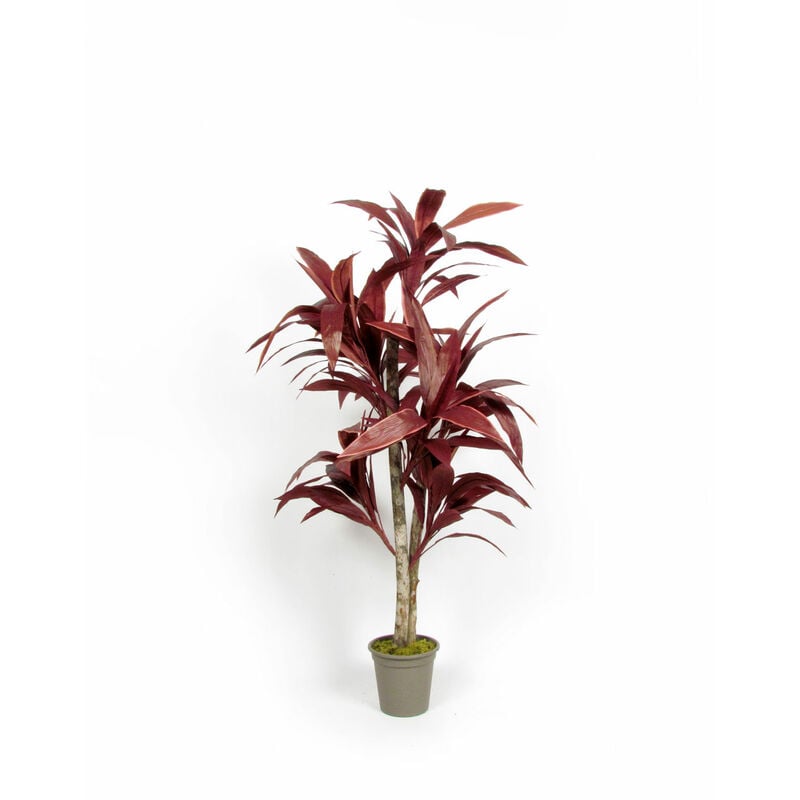 Dracena Semi-Naturale Luxe · Rossa · UVR · Tronco Mansanisi - 150