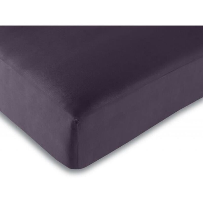 Drap housse - 100% coton - 180 x 200 cm - 57 fils/cm² - Violet - King size