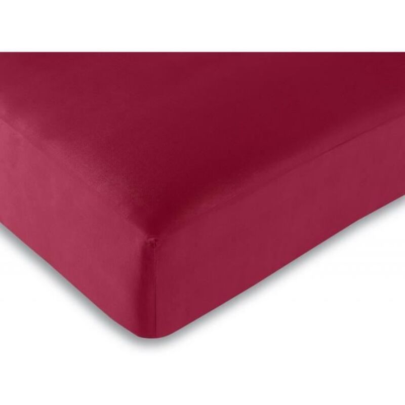 Drap housse - 100% coton - 180 x 200 cm - Rouge - 57 fils/cm² - King size