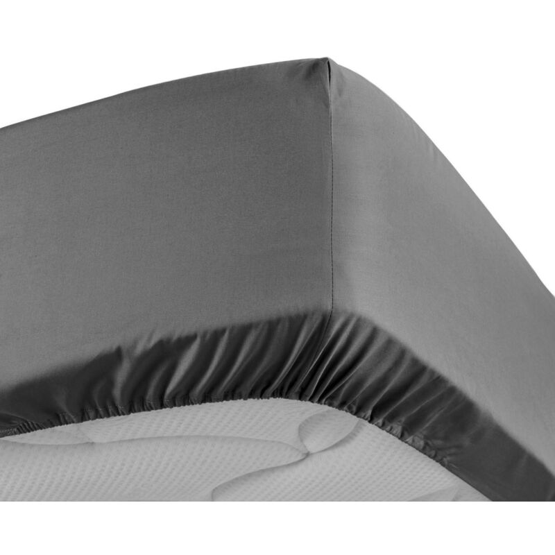 Douceur D'intérieur - Drap Housse Percale - Bonnet 30 Cm - 190x140cm - anthracite .
