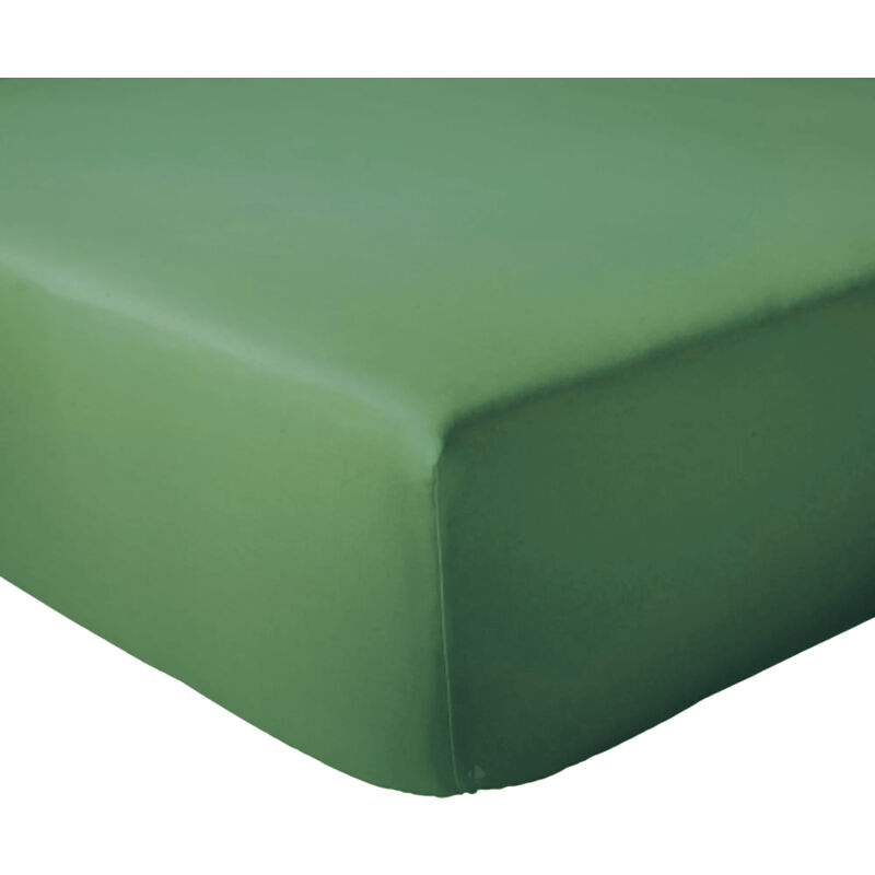 Drap housse coton EVASION Bonnet de 30 cm 80x200 cm