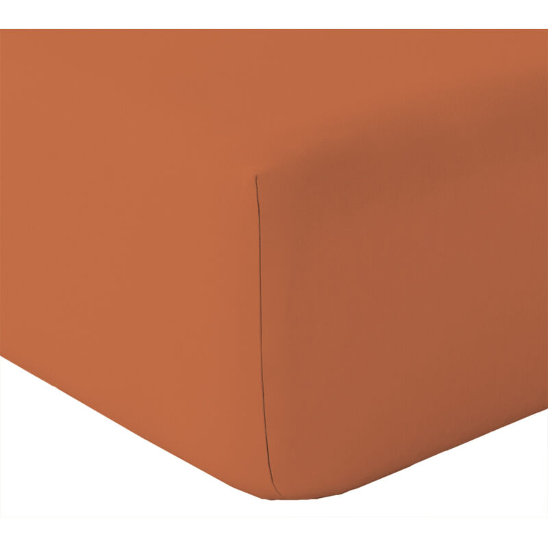 TOISON D OR Drap housse en coton Lav&eacute; Oekotex Terracotta 80x200 cm
