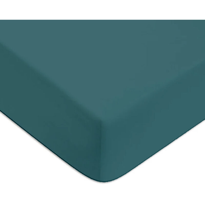 Future Home - Drap housse en coton 57 fils uni bonnet 25cm canard 140x200cm Future Home - Drap housse en coton 57 fils uni bonnet 25cm canard 140x200cm