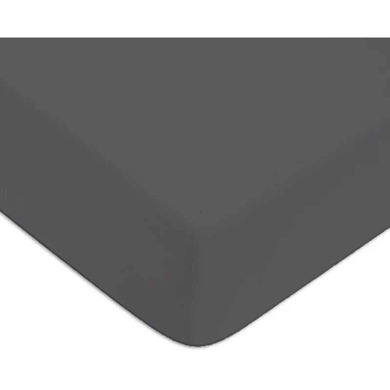 Future Home - Drap housse en coton 57 fils uni bonnet 25cm zinc 90x200cm Future Home - Drap housse en coton 57 fils uni bonnet 25cm zinc 90x200cm