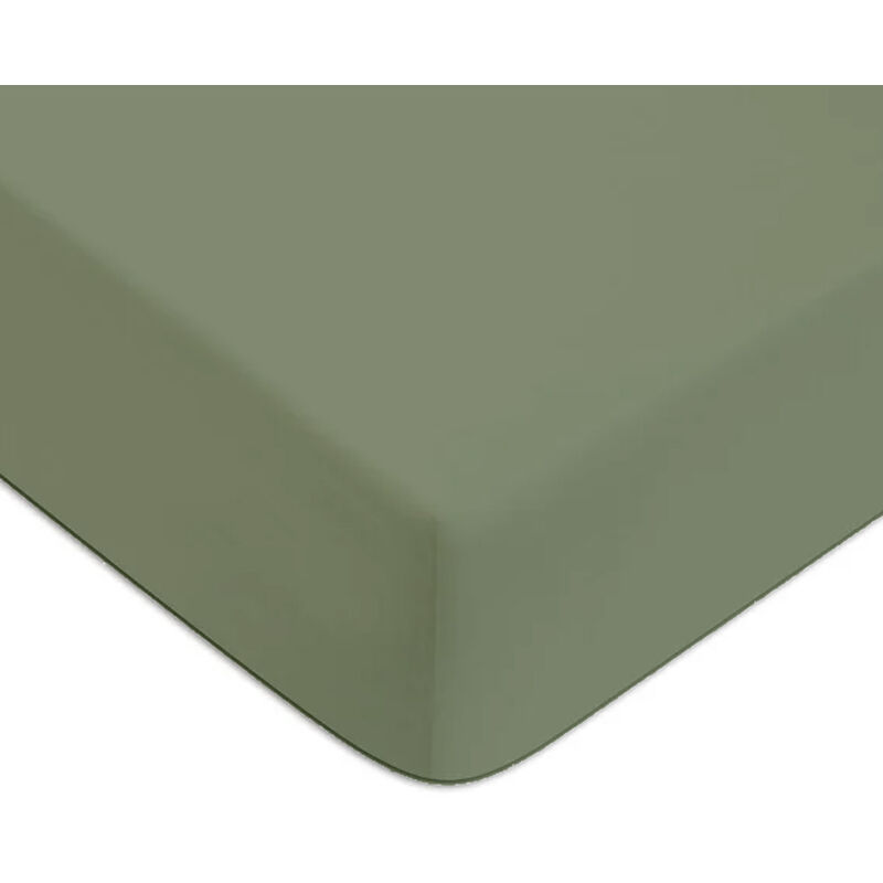 Future Home - Drap housse en coton 57 fils uni bonnet 25cm sauge 90x200cm