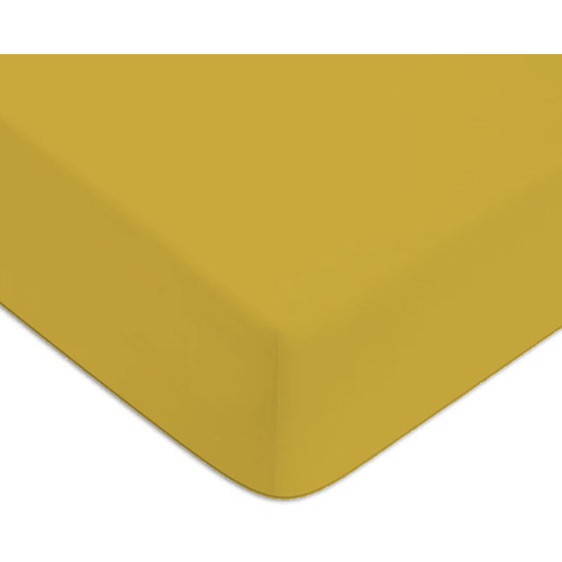 Future Home - Drap housse en coton 57 fils uni bonnet 25cm jaune moutarde 80x200cm