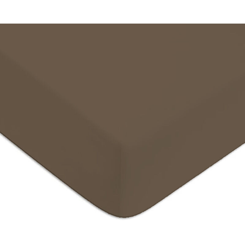 Future Home - Drap housse en coton 57 fils uni bonnet 25cm taupe 140x190cm Future Home - Drap housse en coton 57 fils uni bonnet 25cm taupe 140x190cm