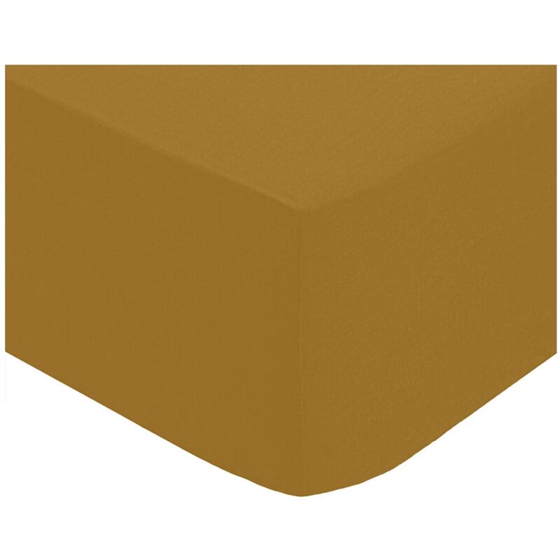 Drap housse percale de coton uni 160 x 200 cm Harmonie mordore
