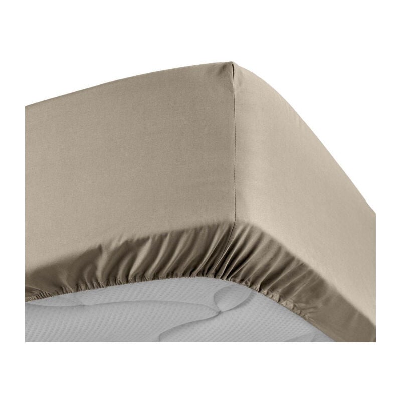Paris Prix - Drap Housse 'Percaline' 160x200cm Sable