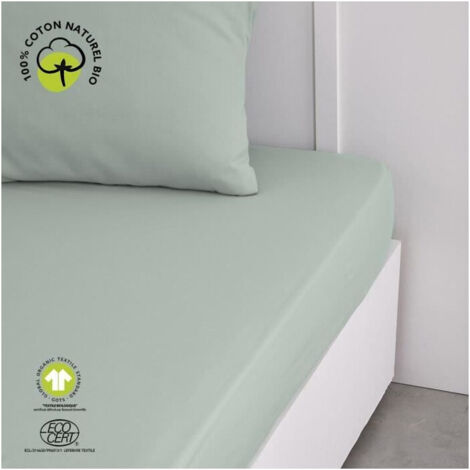 Drap housse - TODAY - 160 x 200 cm + 30 cm - Coton - Organic Celadon