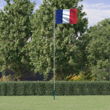 Drapeau de la France et mât 6,23 m Aluminium vidaXL