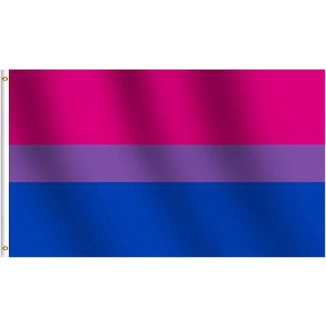 Drapeau lesbien arc-en-ciel Drapeau de la fierté bisexuelle pansexuelle Drapeaux transgenres Drapeau du drapeau asexué Drapeau de la fierté asexuée Festivals LGBT