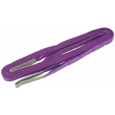 Draper 1 Tonne Load Sling 2M x 50mm Wide (61259)