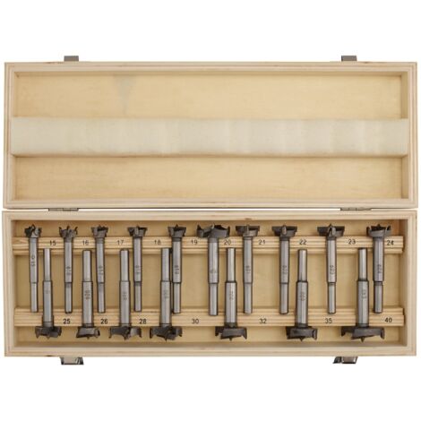 Draper 17-Piece Forstner Drill Bit Set for Flat Bottomed Holes and Hinges (Model 08930)