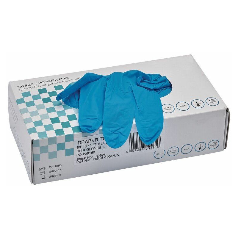 Nitrile Gloves, Large, Blue (Pack of 100) (30928)