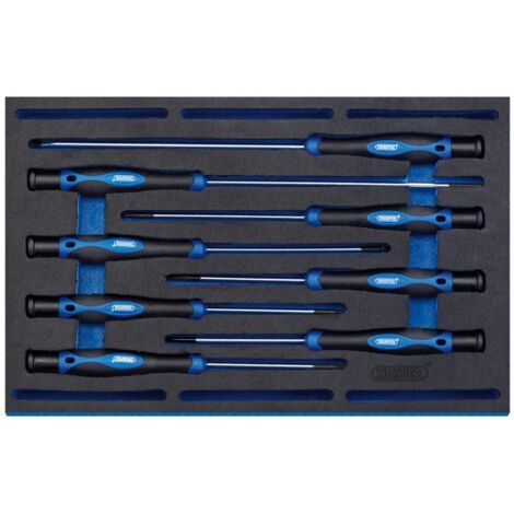 Draper 63399 - Set di 8 cacciaviti di precisione extra lunghi, con inserto 1/4 Eva