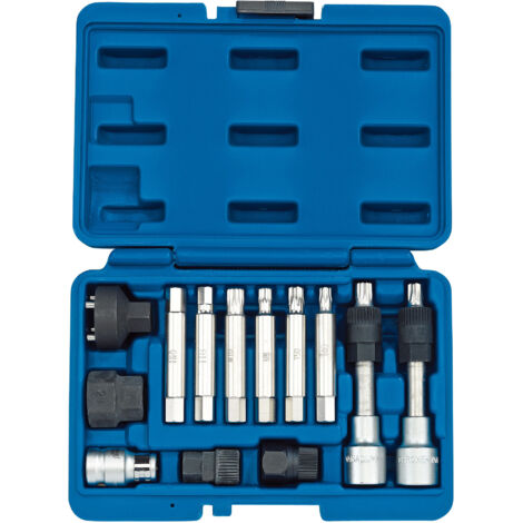 Draper Expert 31913 13-Piece Alternator Pulley Tool Kit for Automotive Repair