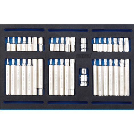 Draper Expert 40-Piece 1/4 Inch Screwdriver Insert Bit Set with EVA Storage Tray
