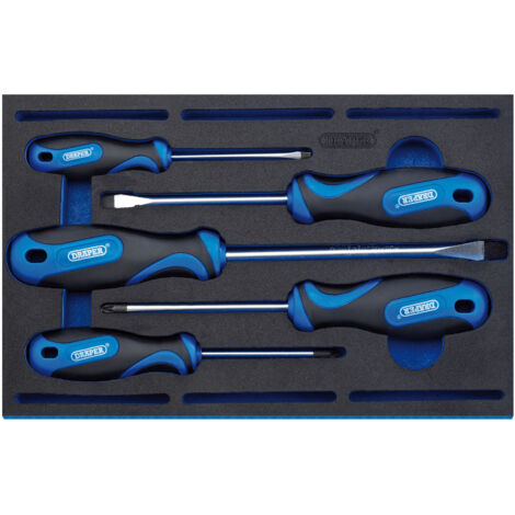 Draper Expert 5-Piece Soft Grip Screwdriver Set with 1/4 Inch Drive and EVA Insert Tray