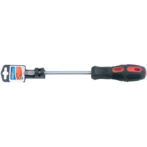 Draper Expert 6mm x 100mm Plain Slot Flared Tip Screwdriver (Display Packed) (40008)