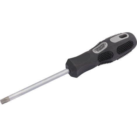 Draper Expert Draper TX-STAR&174 Driver T40 x 100mm Long (10868)