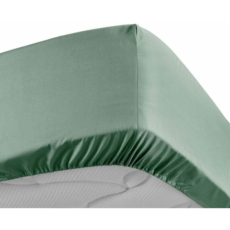 Douceur D'intérieur - Drap housse 160x200 cm - Percale 100% coton - Bonnet 30 cm - Tilleul