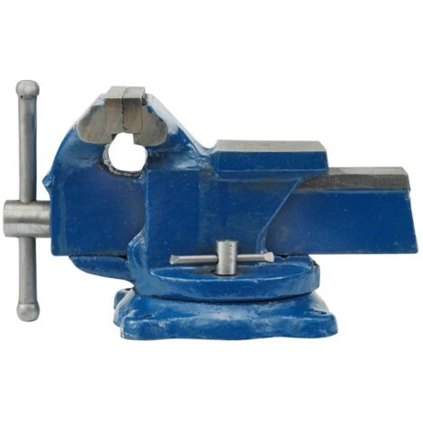 Drehbarer Maschinenschraubstock 100 mm aus Gusseisen