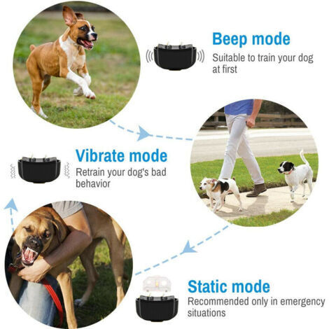 Dresseurs de chiens, enclos anti-aboiements, accessoires pour animaux de compagnie, colliers de dressage télécommandés pour chiens