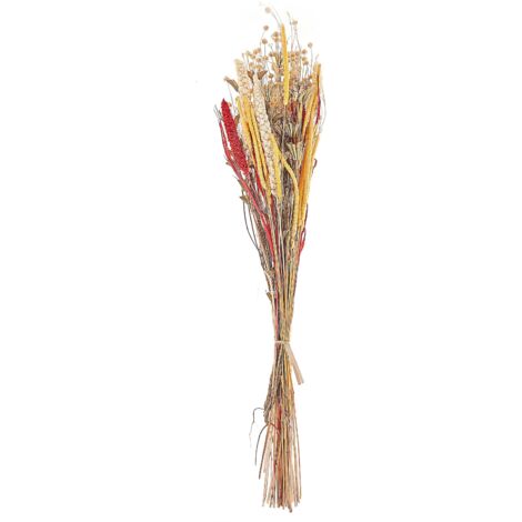 Dried Flower Bouquet PAMPELUNA 65 cm Natural