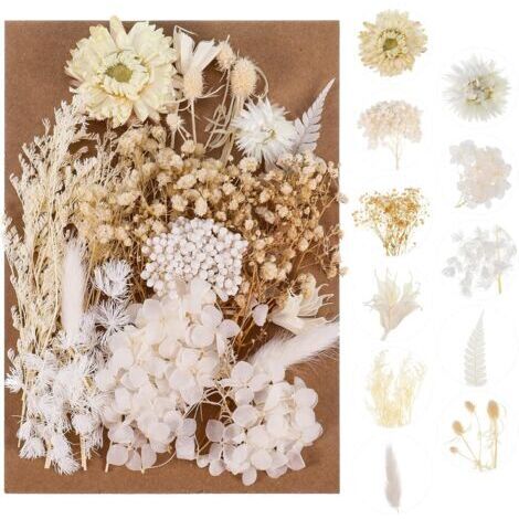 Dried Flowers, Real Pressed Dried Flowers and Natural Dried Leaves Dried Flowers Epoxy Resin Mix for Making Decoration Shells DIY Resin