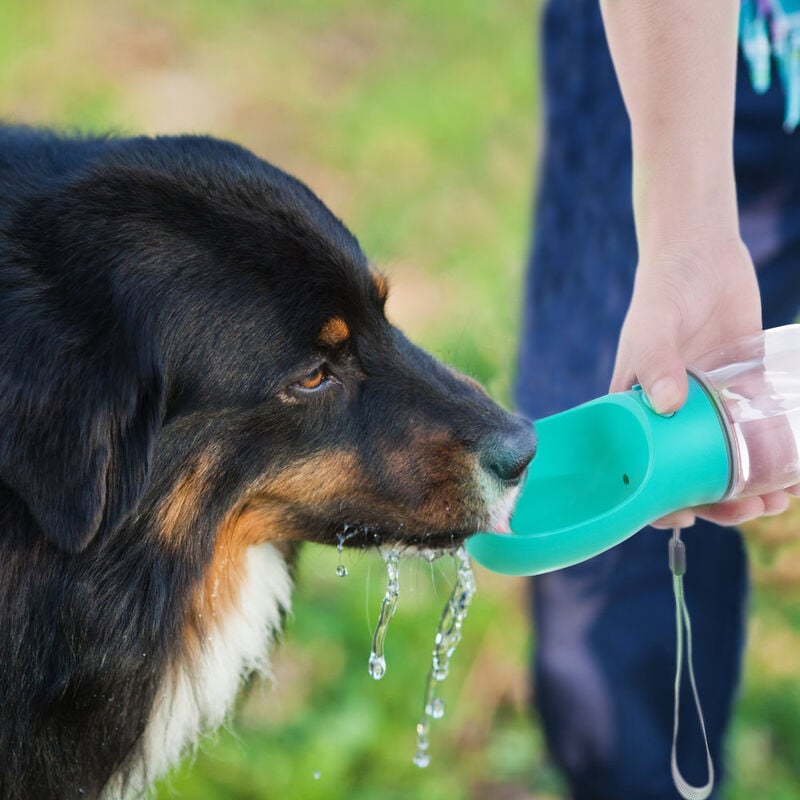 DRINK&GO ABBEVERATORIO DISPENSER ACQUA DA VIAGGIO