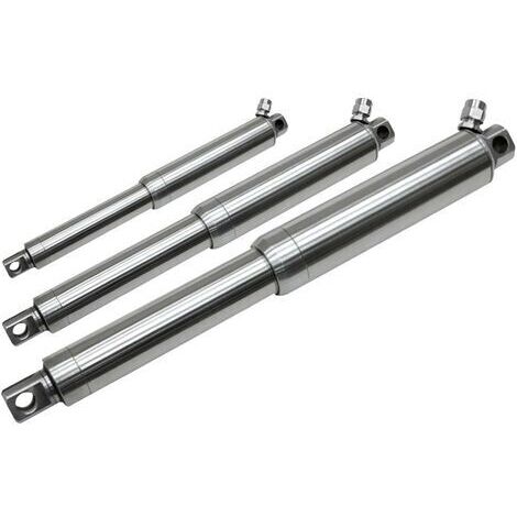 Drive System Europe by MSW Vérin électrique linéaire en acier inoxydable DSZY35-24-43-100-HS2-IP69K Longueur de course 100 mm 1 pc(s) R992481