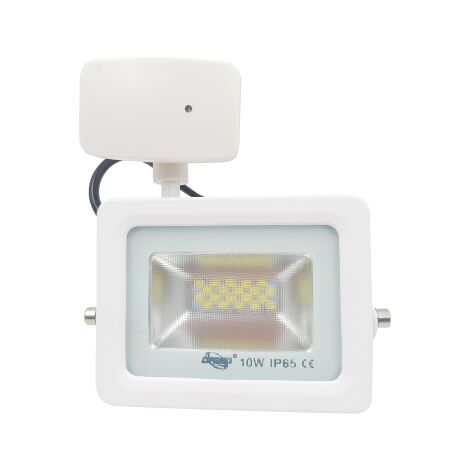 Driwei projecteur led 10w avec capteur de mouvement PIR cre'pusculaire 6000 K lumie're blanche froide support de montage inclus