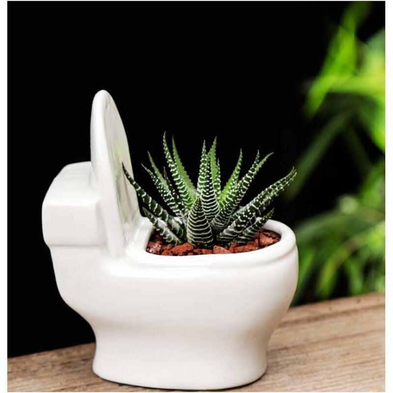 Drôle en céramique succulente en forme de pot de fleurs mignon vase à fleurs en céramique pot de fleurs bonsaï pot de fleurs décor à la maison pot de