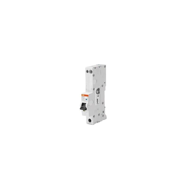 Dse201Mac-B16/0.03 Sp Rcbo 30Ma 10Ka - Abb