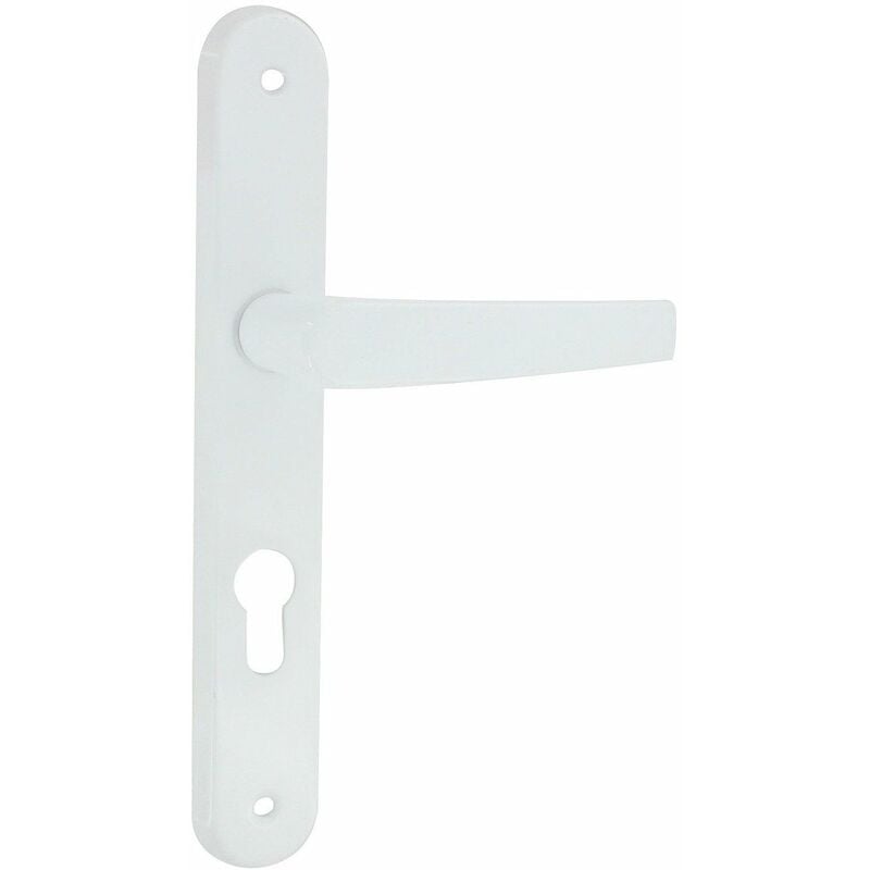 Dt 2000 - Poignée de porte aluminium époxy blanc avoriaz clé i - cylindre - DT2000