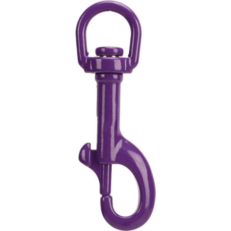 DT75B 75 mm Taucherkarabiner aus seewasserbeständigem Edelstahl 316 mit drehbarem Auge, für Hundeleine, Kamerahandschlaufe oder Schlüsselanhänger, Lila